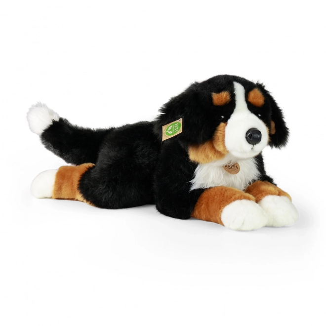 Grote pluchen Berner Sennenhond liggend 61 cm
