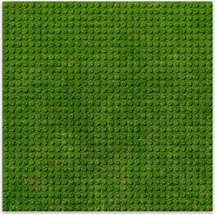 BRIXIES Plus designbouwplaat gras 25,5 x 25,5 cm