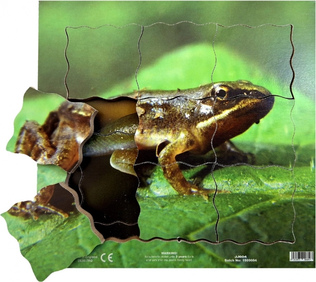Just Jigsaws Kikker en zijn levenscyclus - houten gelaagde puzzel