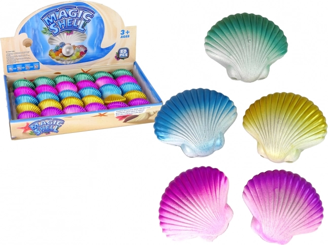 Zeedieren - magische schelp 6 cm