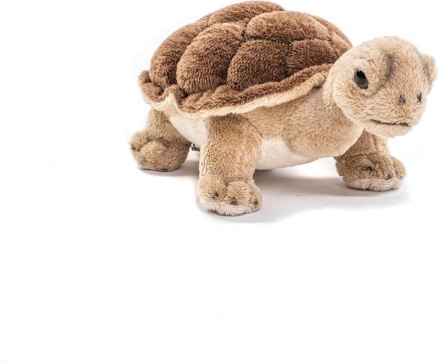 Veilig ontwerp voor kinderen vanaf 0 jaar