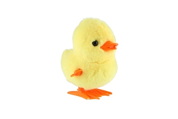 Springende eend opwinden