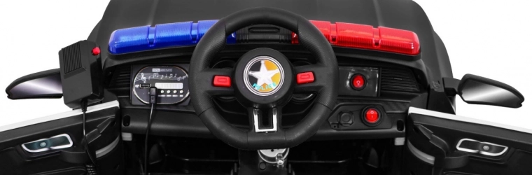 Ouderbediening 2,4 GHz met STOP