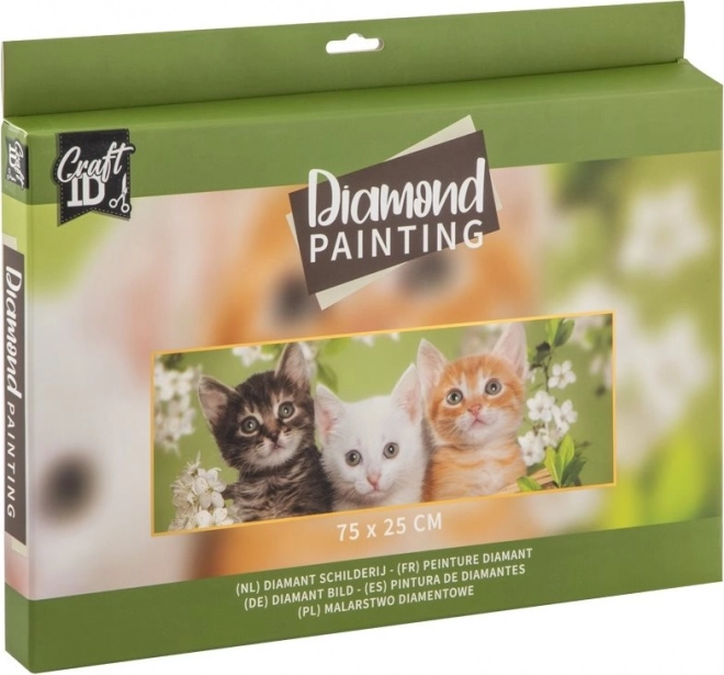 Diamant schilderen - Kittens 75x25cm