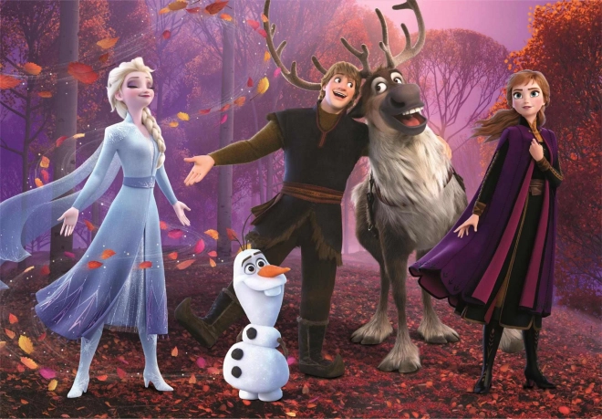 CLEMENTONI Puzzel Frozen 104 stukjes