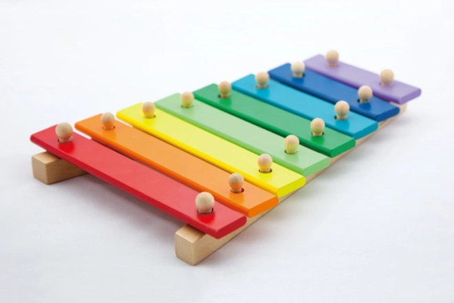 Houten xylofoon voor kinderen