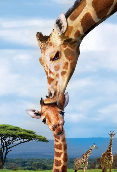 Eurographics Puzzel Save Our Planet: Giraffen XL 250 stukjes
