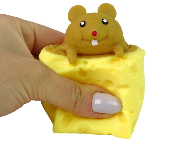 Squishy Kaas Muis Squishy Sensorische Muis Pop It