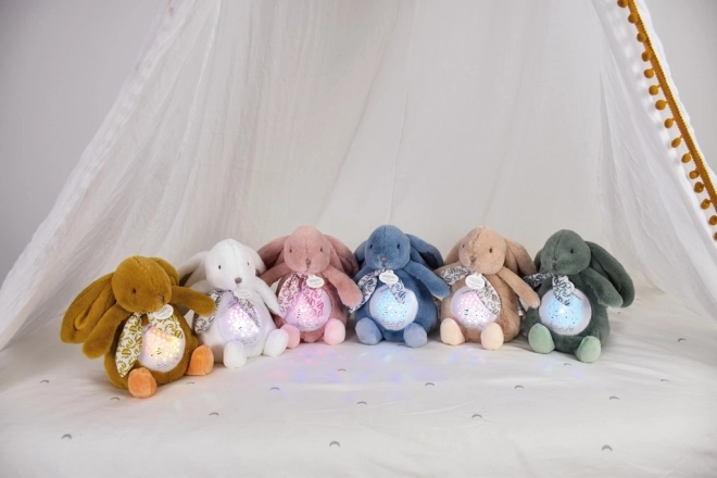 Muziekdoosje Konijntje met Doudou-projectie