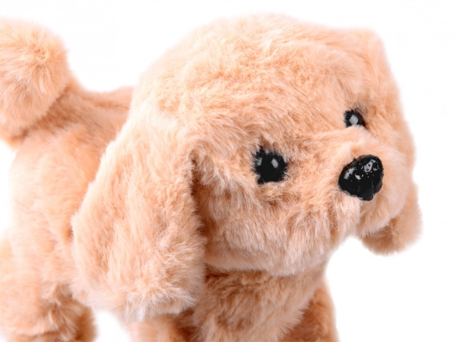 Interactieve pluchen hond in SPA-salon