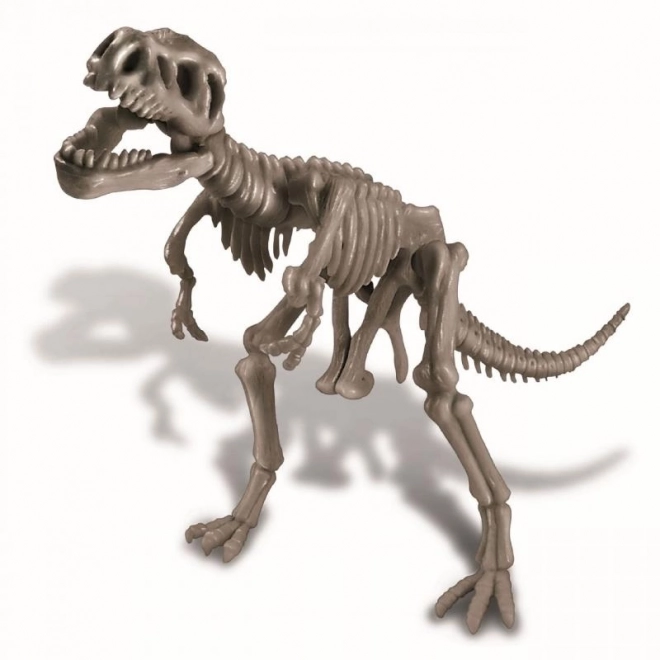 Dinosaurusskelet - REX