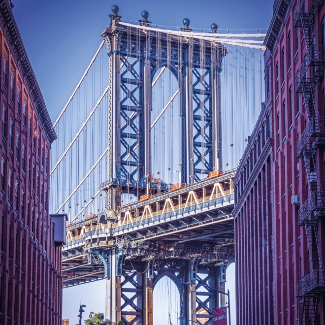 Notitiekalender New York 2026