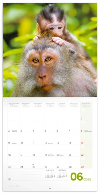 Notitie Kalender Kleintjes 2025, 30 x 30 cm