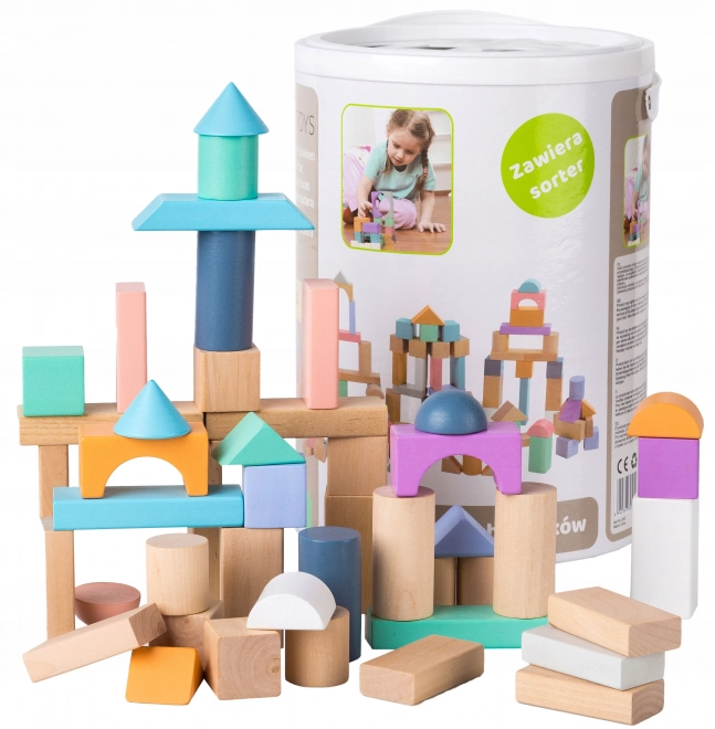 Houten blokken 100 st met emmer inclusief sorteerder Ecotoys