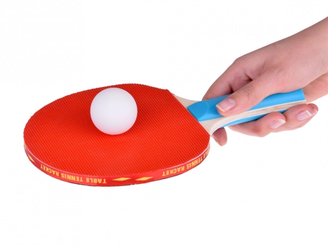 Houten tafeltennisbatjes met balletjes