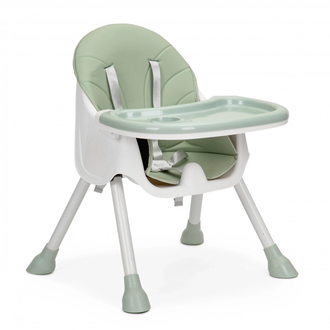 2-in-1 Kinderstoel met 5-puntsgordels ECOTOYS Azura
