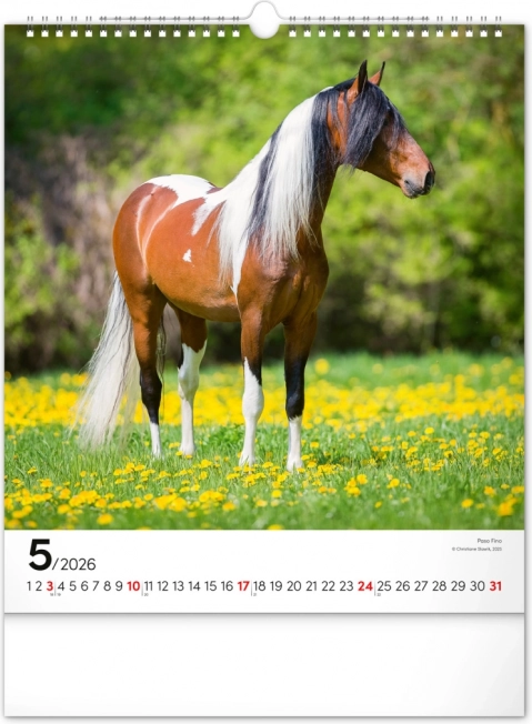 Wandkalender Paarden 2026