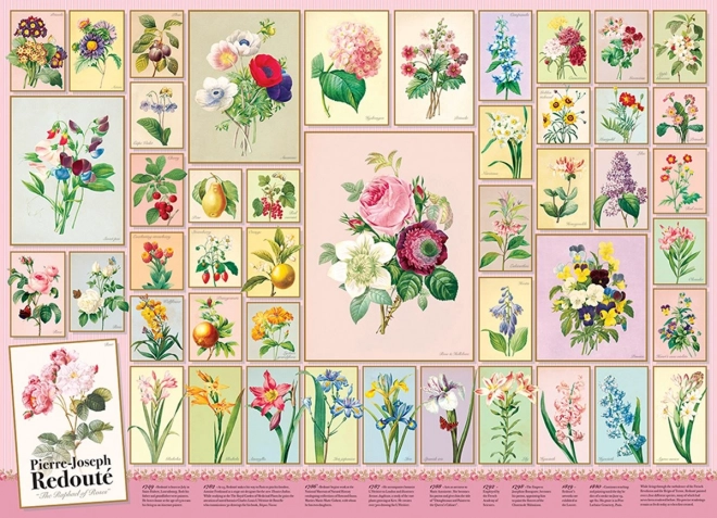 Puzzel Pierre-Joseph Redouté 1000 stukjes van Cobble Hill