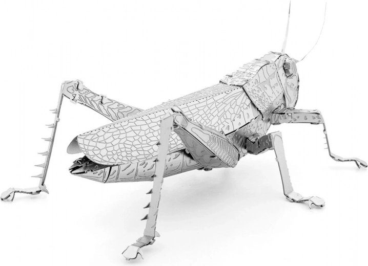 Metalen verzamelaarsstuk voor display