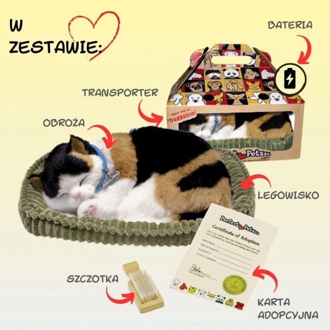 Adopteer mij driekleurig ademend katje