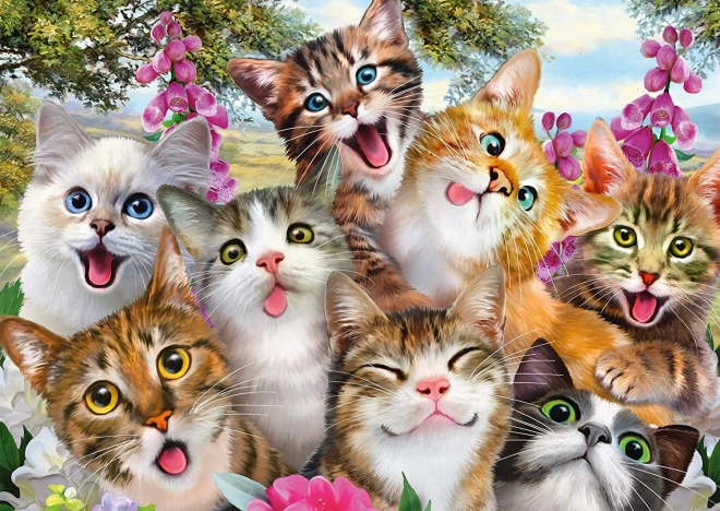 Puzzel Katten-selfie 500 stukjes SCHMIDT