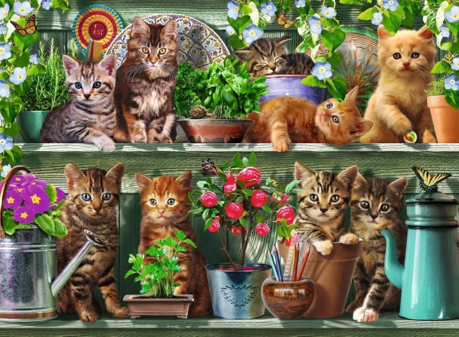 Puzzel Katten op de plankjes 500 stukjes
