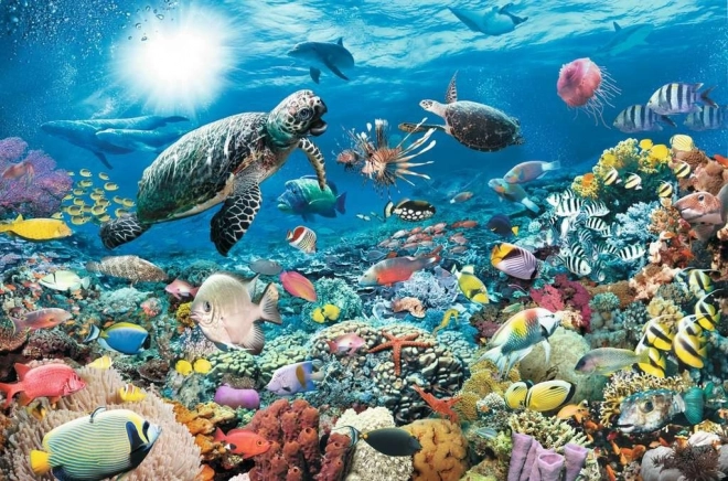 Prachtige weergave van de onderwaterwereld