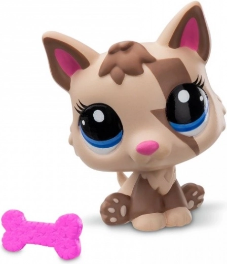 Accessoire en verzamelkaart in de verpakking