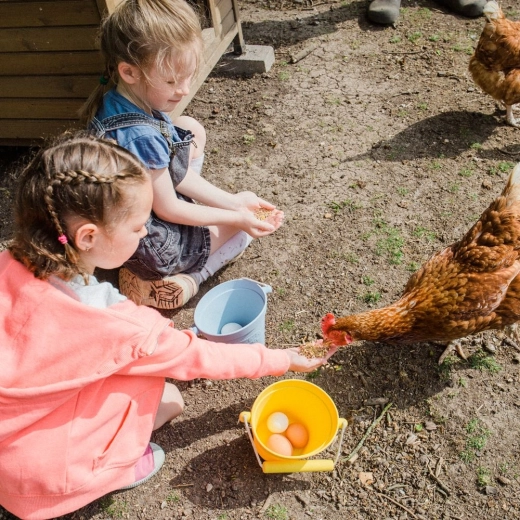 Universele helper voor binnen en buiten