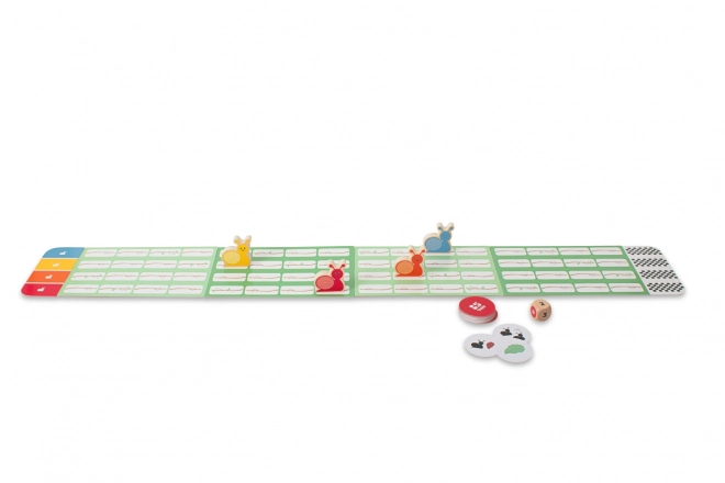 Slakkenraces - leuk familie bordspel
