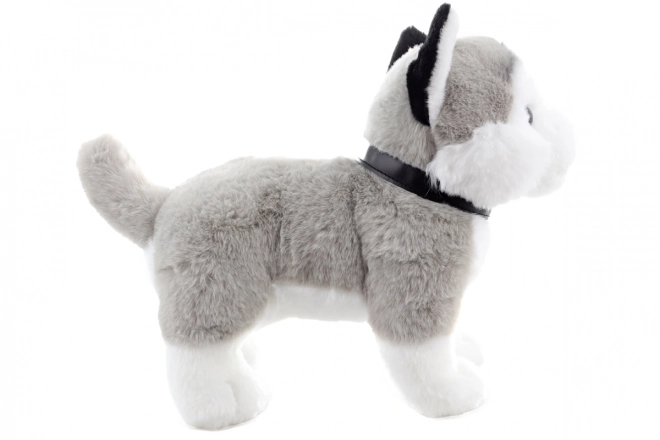 Pluche husky met riem