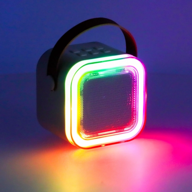 Karaoke set 2 microfoons + draagbare luidspreker BLUETOOTH USB LED roze