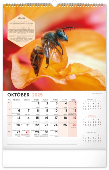 NOTIQUE Muur Bijenteelt Kalender 2025, 33 x 46 cm