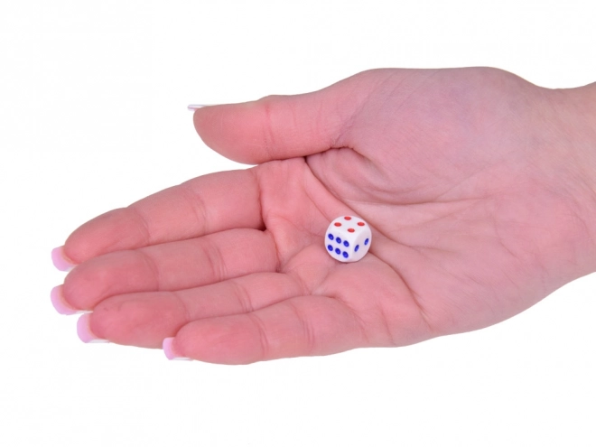 Magnetisch spel Schatzoeken Piraten