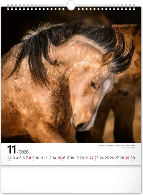 Wandkalender Paarden 2026