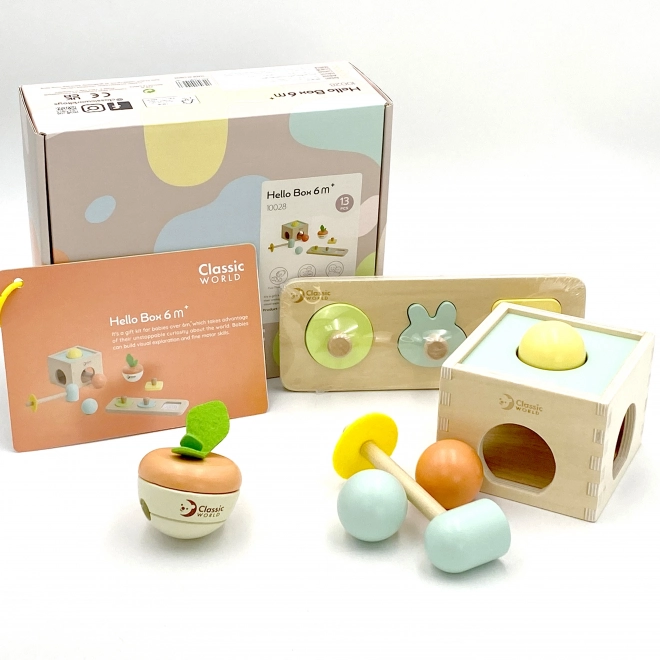 Klassieke houten pastelkleurige educatieve set voor kinderen van 6 tot 12 maanden