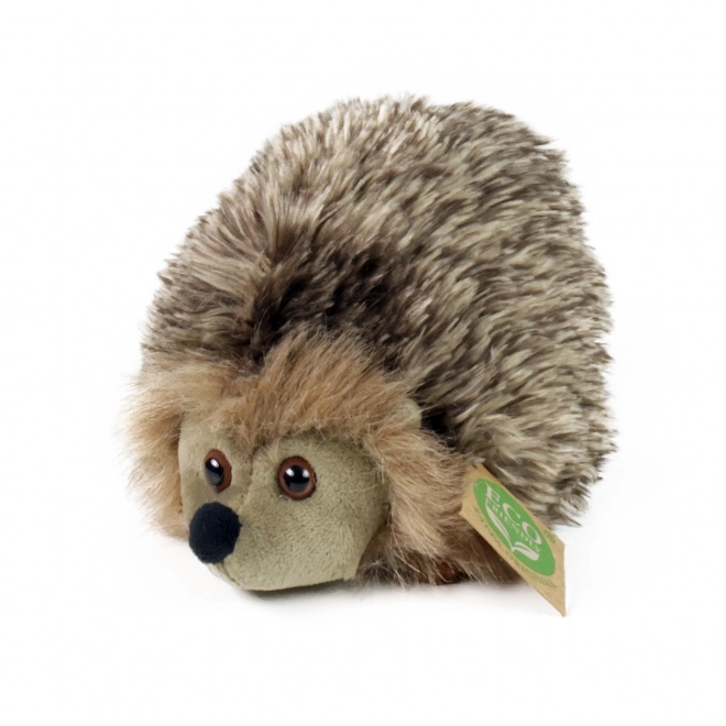 Rappa Pluchen egel 17 cm MILIEUVRIENDELIJK