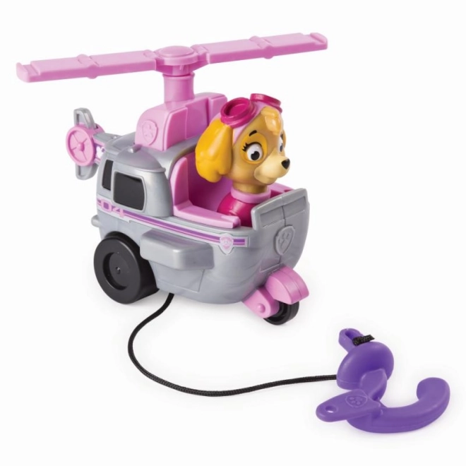 Paw Patrol klein voertuig met figuur, verschillende soorten