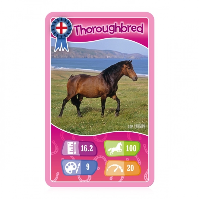 TT Paarden en Eenhoorns