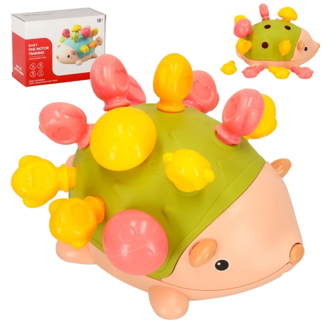 Egel sensorisch Montessori groen
