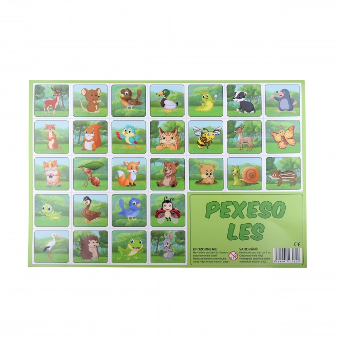 Pexeso ge1lustreerd bos