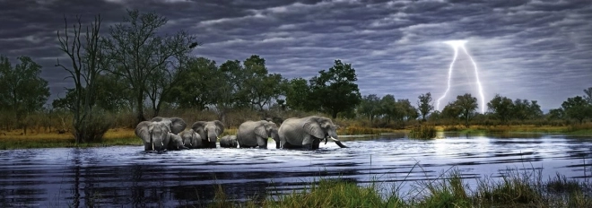 panoramische puzzel Olifantenkudde Botswana 2000 stukjes