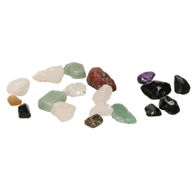 Set van de jonge kleine archeoloog met mineralen 9 stuks