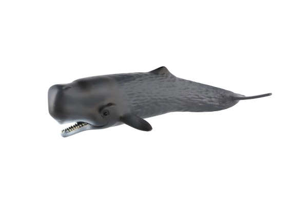 Realistisch model van de potvis 24 cm
