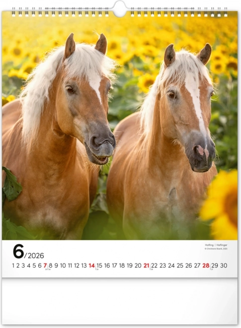 Wandkalender Paarden 2026
