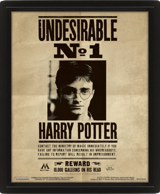 3D afbeelding Harry Potter - Sirius