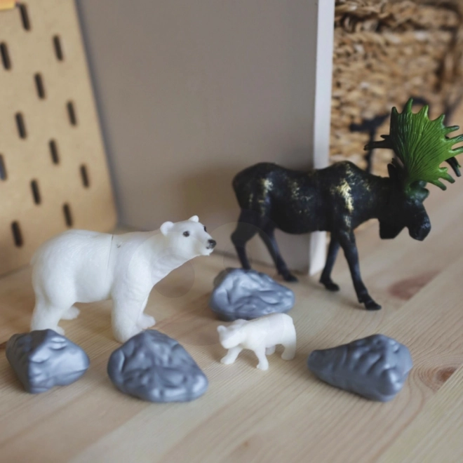 Set dieren WOOPIE XXL 58 stuks