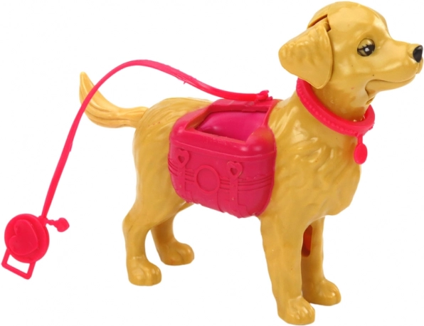 Hond aan de lijn voor wandelspeletjes