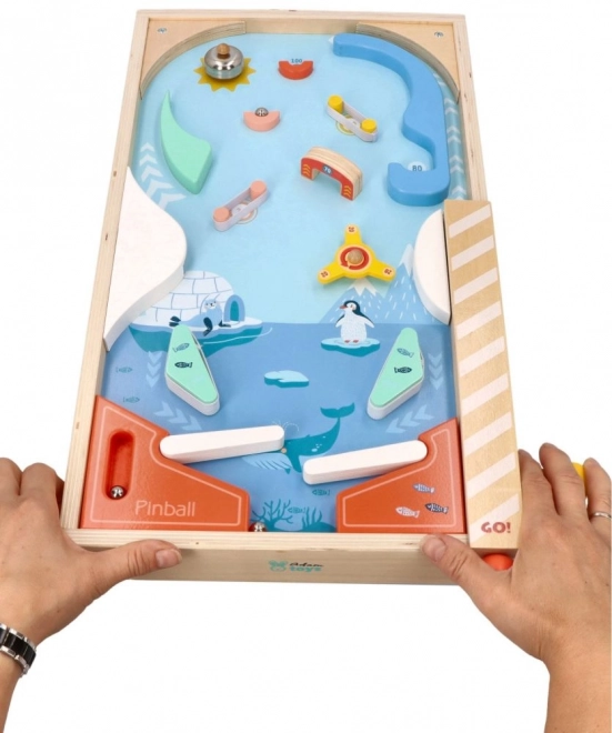 Arcade spel Flipperkast