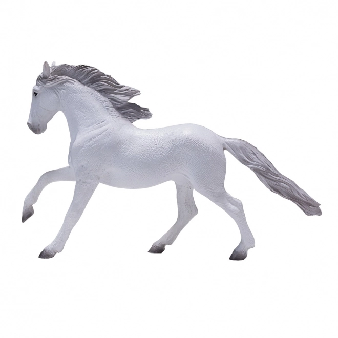 Mojo Lusitaanse Witte Paard